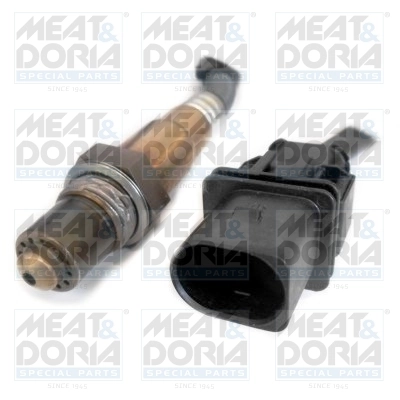 Oxygen Sensor